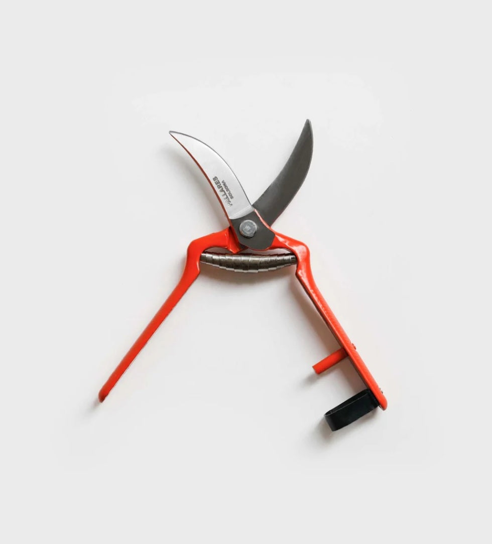 PALLARES PRUNING SHEARS | VINTAGE SCISSORS